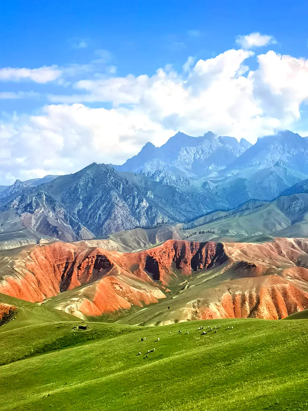 卓尔山